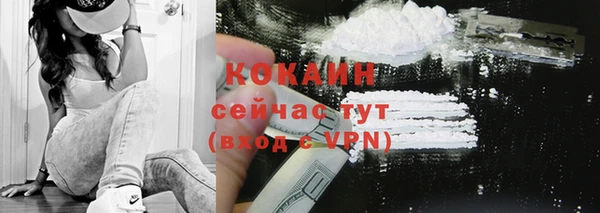 спайс Нея