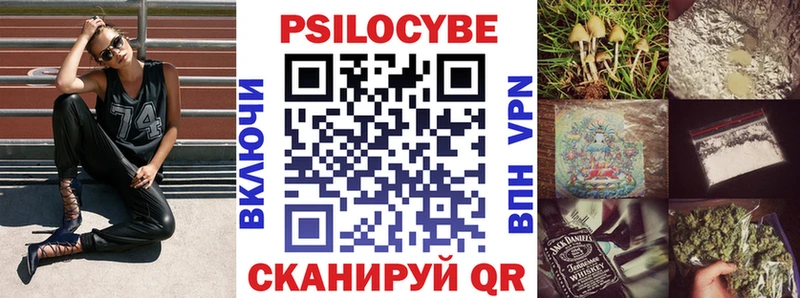 Купить закладки  Черногорск  Псилоцибиновые грибы Magic Shrooms 